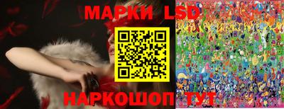 винт Будённовск