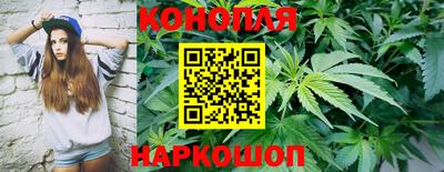винт Будённовск