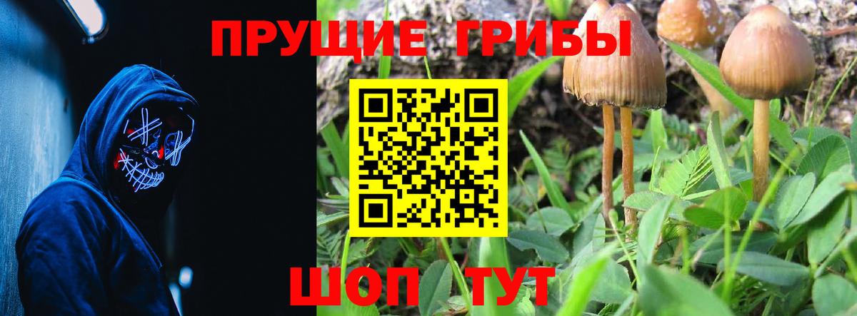 Псилоцибиновые грибы GOLDEN TEACHER Южно-Сахалинск