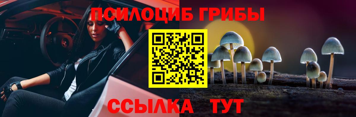Псилоцибиновые грибы прущие грибы  Вход с VPN  Южно-Сахалинск  дарнет шоп  Псилоцибиновые грибы Psilocybine cubensis 